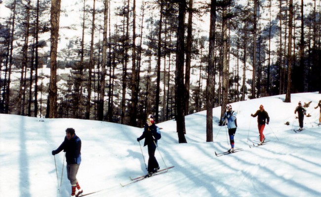 Séjour Tout Schuss à Pelvoux ! - Vacances adaptées noël 2024 Photo séjour Tout Schuss à Pelvoux !