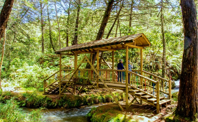 Photo séjour Trésors de la Colombie